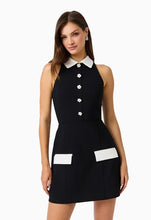 Load image into Gallery viewer, Verdue Collar Mini Dress