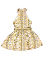 Load image into Gallery viewer, Button Down Collared Embroidered Mini Dress