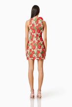 Load image into Gallery viewer, Roselyn Minidress