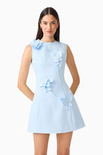 Load image into Gallery viewer, Reina 3D Floral Mini Dress