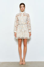 Load image into Gallery viewer, Citrus Floral Embroidered Lace Mini Dress