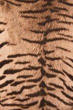Load image into Gallery viewer, Tiger Low Waist Trim Shorts
