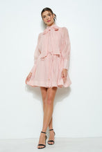 Load image into Gallery viewer, Tie Neck Mini Dress
