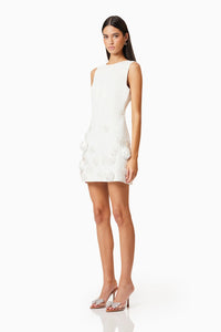 Lilydale Shift Mini Dress