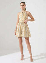 Load image into Gallery viewer, Button Down Collared Embroidered Mini Dress
