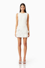 Load image into Gallery viewer, Lilydale Shift Mini Dress
