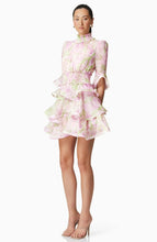 Load image into Gallery viewer, Morgan Floral Tiered MIni Dress
