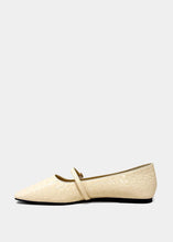 Load image into Gallery viewer, Adele Croc Mary Jane Flat
