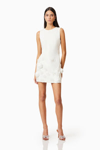 Lilydale Shift Mini Dress