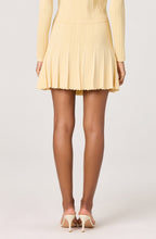 Load image into Gallery viewer, Tehya Pointelle Knit Pleated Skirt
