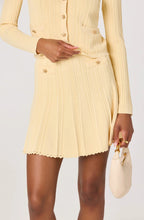 Load image into Gallery viewer, Tehya Pointelle Knit Pleated Skirt
