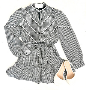 Gingham Ruffle Trim Mini Dress