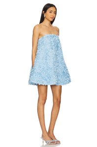 Kaia Trapeze Mini Dress