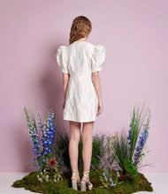 Load image into Gallery viewer, Anemone Jacquard Mini Dress
