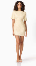 Load image into Gallery viewer, Airlie Short Sleeve Mini Dress
