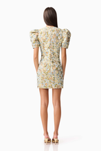 Load image into Gallery viewer, Tasmin Mini Dress
