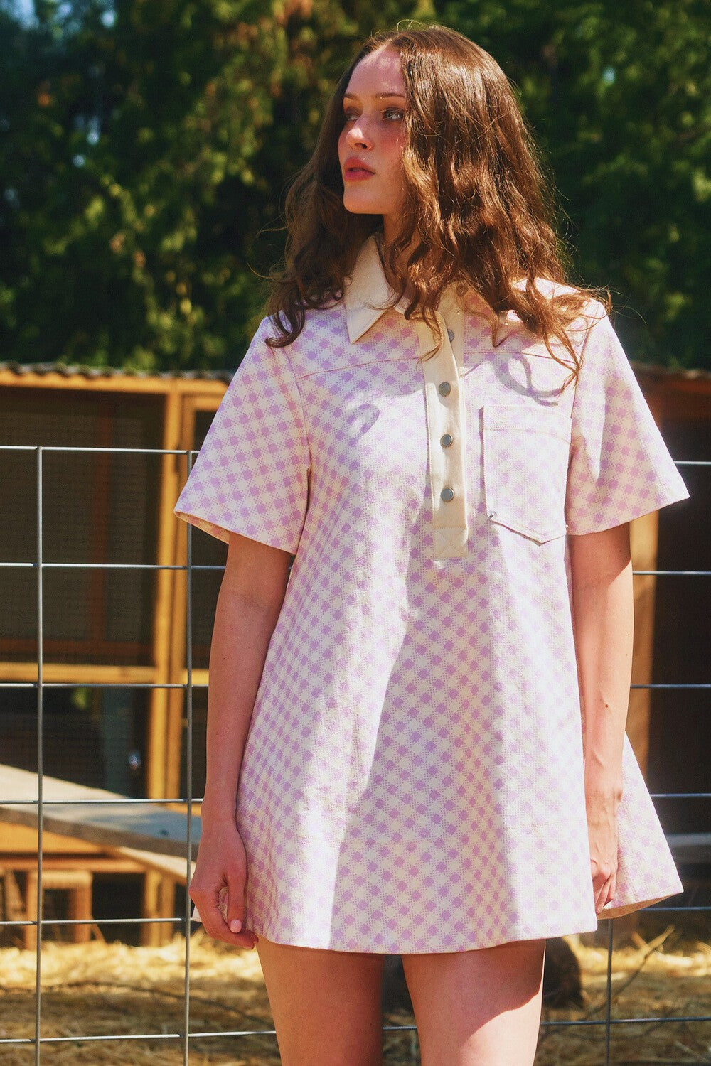 Checker Print Denim Collar Dress
