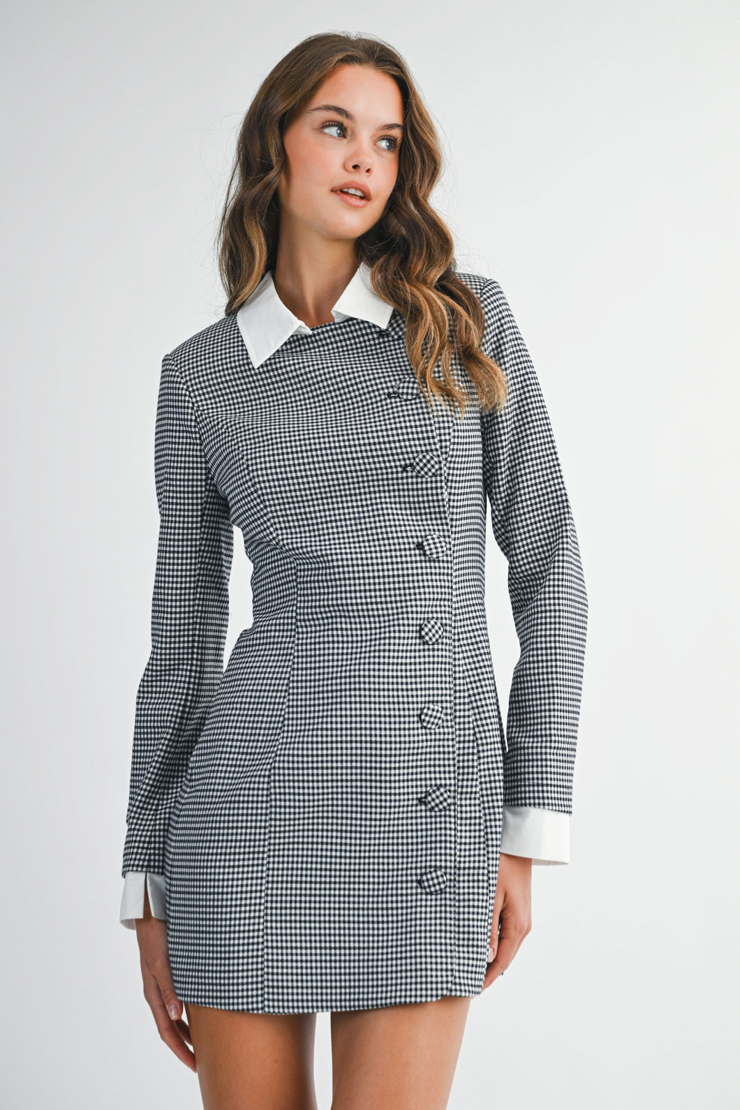Gingham Plaid Long Sleeve Contrast Collar Dress