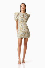 Load image into Gallery viewer, Tasmin Mini Dress
