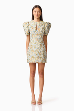 Load image into Gallery viewer, Tasmin Mini Dress

