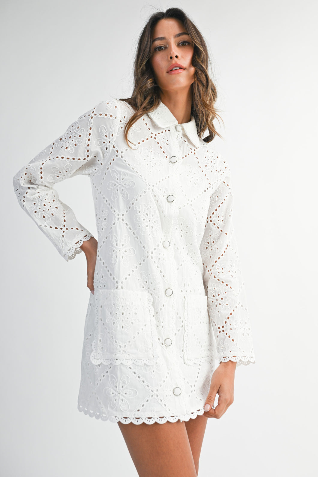Eyelet Lace Long Sleeve Button Down Mini Dress